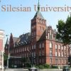 International Scholarships for Masters at Silesian University in Czech Republic, 2017-2018 Silesian University