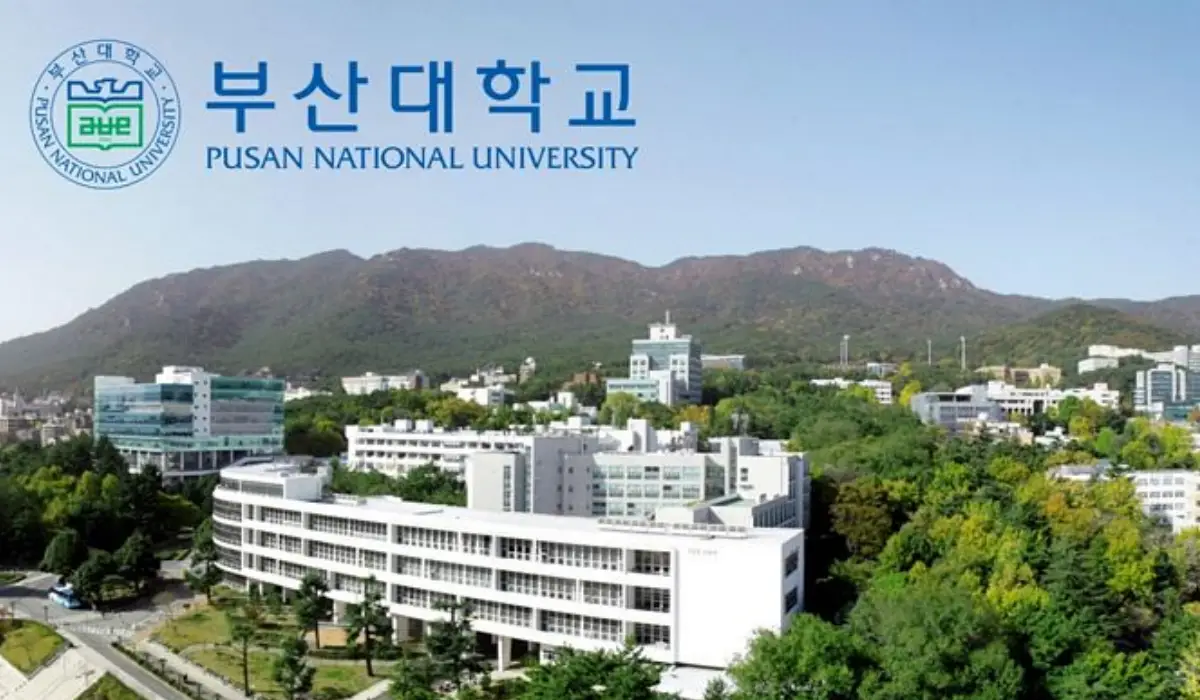 PhD studentship,Pusan National University,South Korea - Scholarship Positions 2021 2022