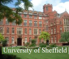 University of Sheffield