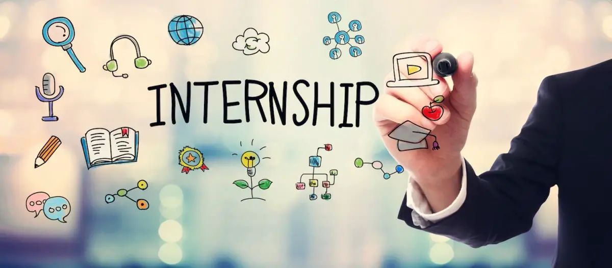 Internships A Test Drive to Professional Career Ahead