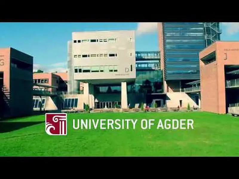 university of agder scholarship - CollegeLearners.com