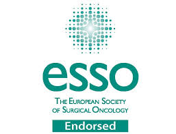 Training Fellowships