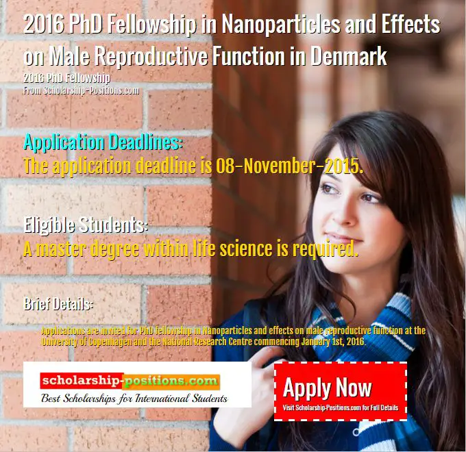 2016 fellowship in Denmark