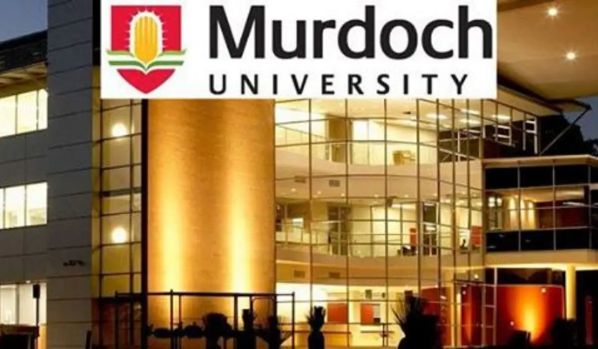 Murdoch University Scholarships for International Students in Australia