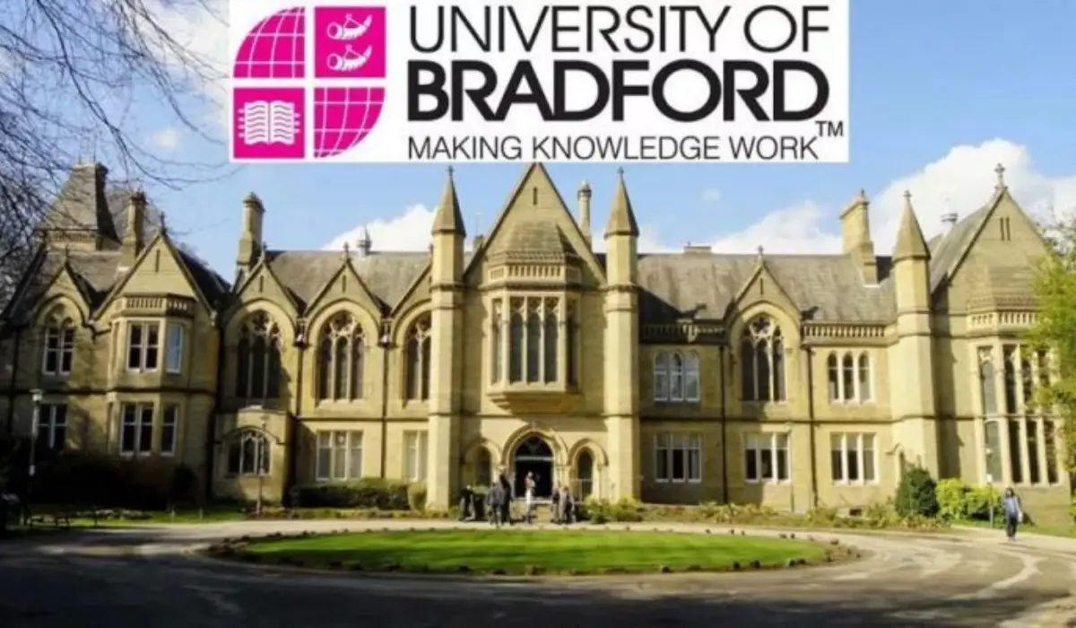 University Of Bradford Ngôi Trường Số 1 Vương Quốc Anh Về đào Tạo