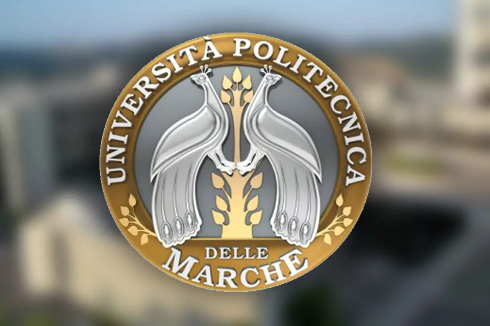 Phd Programmes At Marche Polytechnic University In Italy