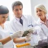 ASEA-UNINET Research Grants for Indonesian, Thai and Vietnamese Students in Austria, 2018 Bond University