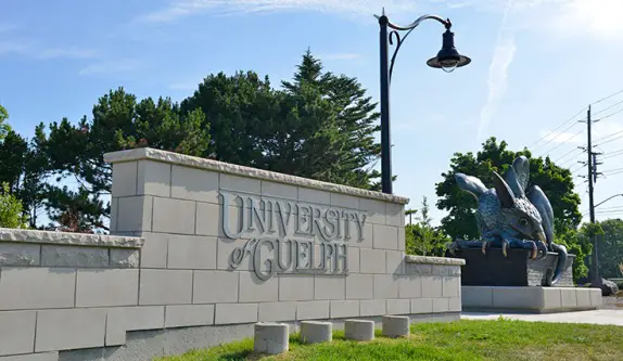 University of guelph masters thesis borzel