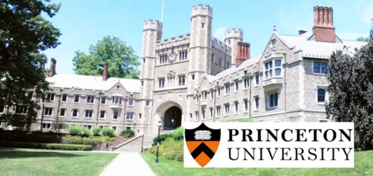 Postdoctoral Fellowship For International Students At The Princeton postdoctoral-fellowship-for-international-students-at-the-princeton