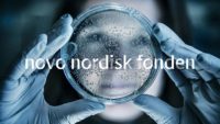 PhD Positionsin Nursing Research at Novo Nordisk Foundation in Denmark, 2018