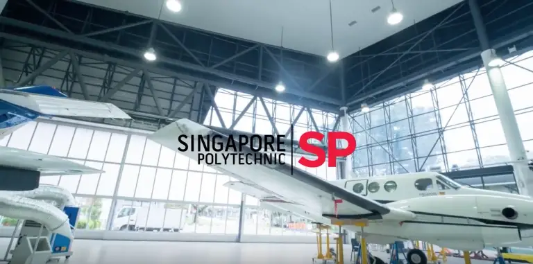 SINGAPORE POLYTECHNIC SCHOLARSHIP FOR INTERNATIONAL STUDENTS visual data 3