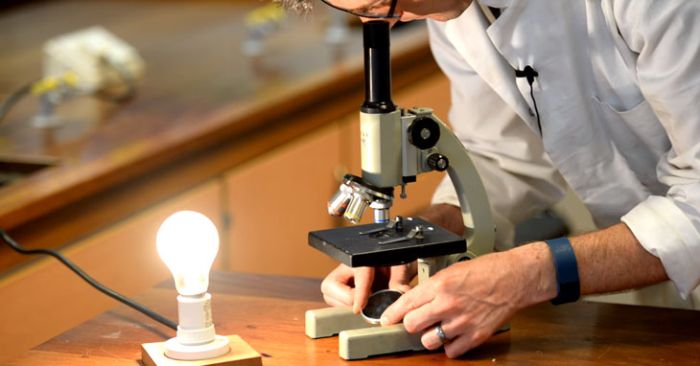 Best Microscopes for Students