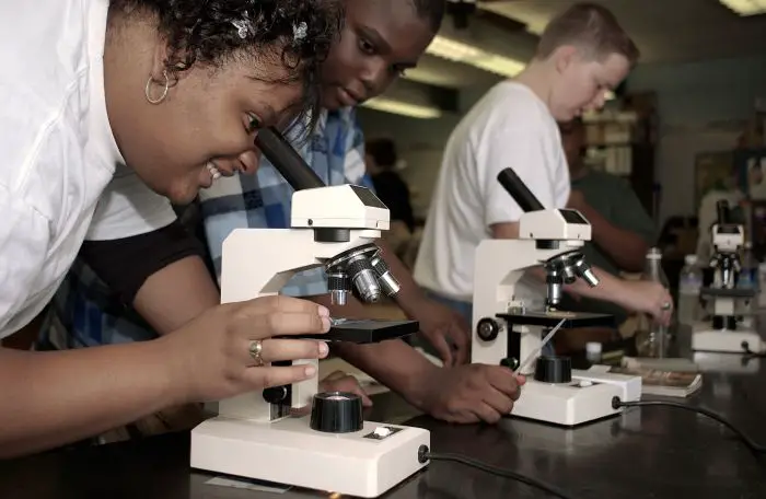 Best Microscopes for Students