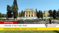 University of São Paulo INCOR Postdoctoral Research Fellowship in Brazil