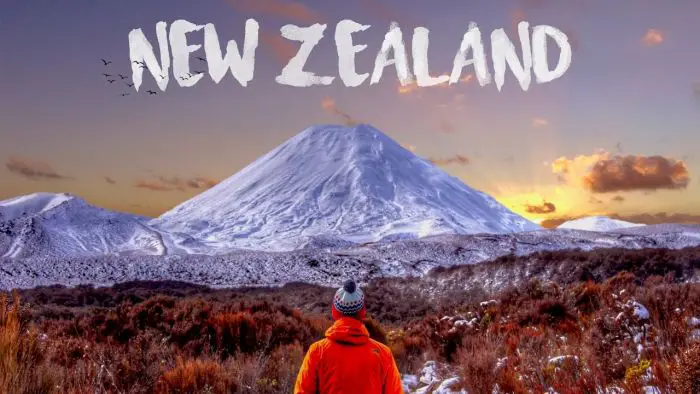 Why study in New Zealand?