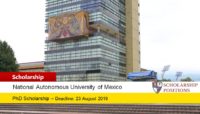 UNAM Post Doctoral program in Mexico, 2019