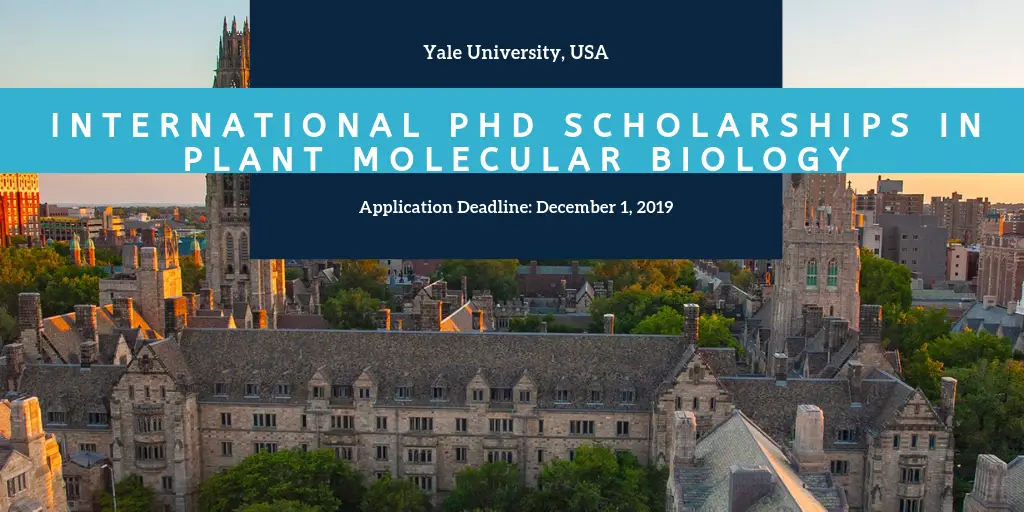 molecular biology phd scholarships