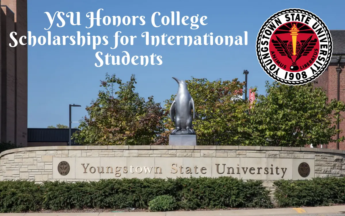 YSU Honors College Scholarships for International Students in the