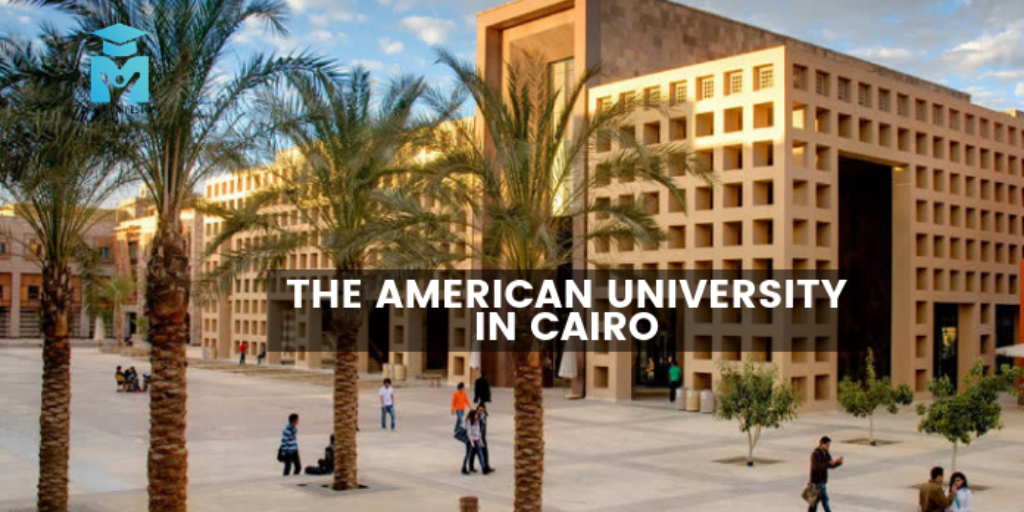 Athletic Scholarship at American University of Cairo