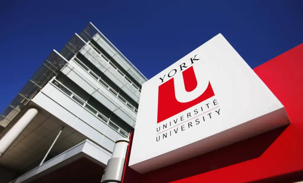 Global Health funding for Domestic and International Students at York University, Canada