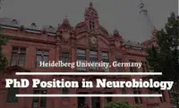 Heidelberg University PhD Position in Neurobiology in Germany, 2020