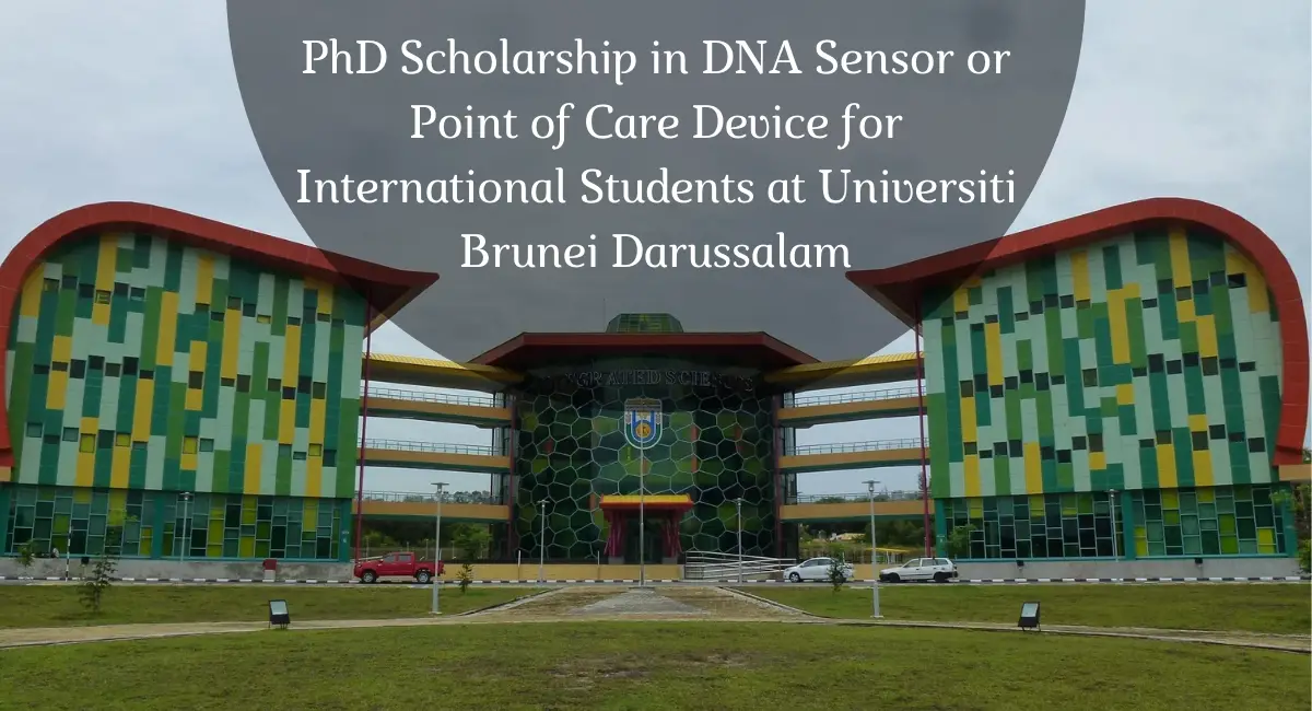 phd scholarship brunei