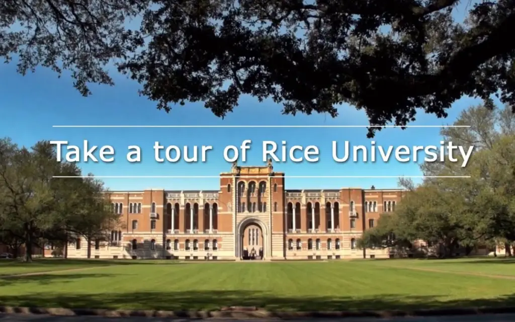 International Merit Scholarships at Rice University, 2020