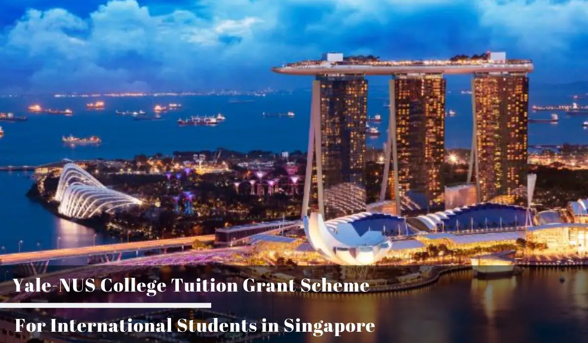 Yale-NUS College Tuition Grant Scheme for International Students in  Singapore