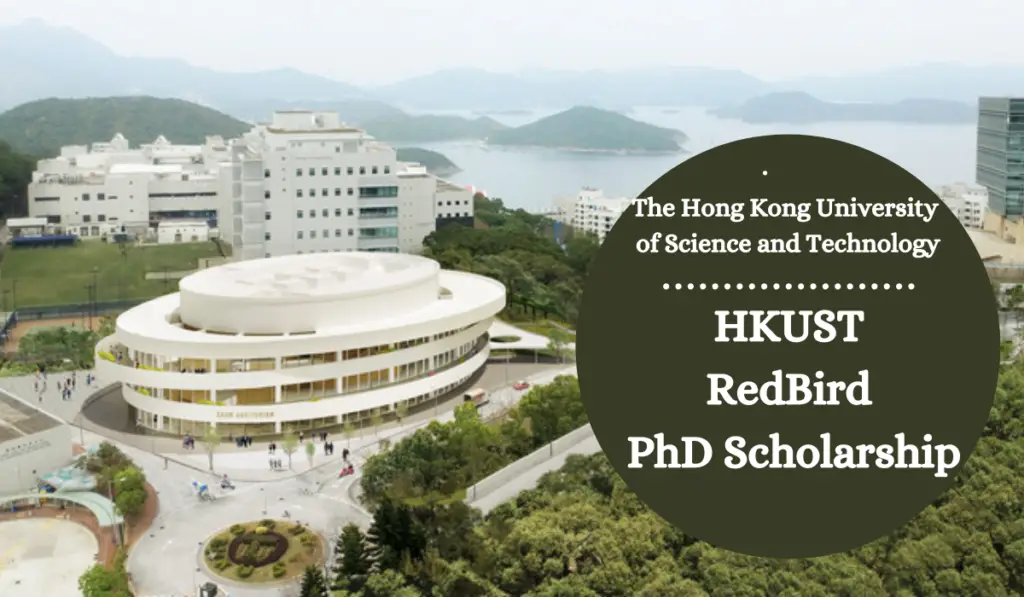 phd degree hong kong