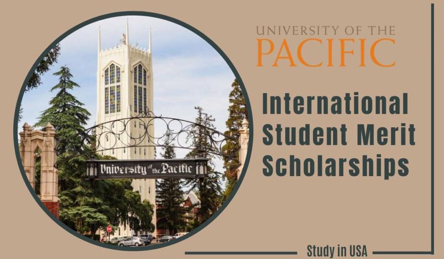 International Student Merit Scholarships