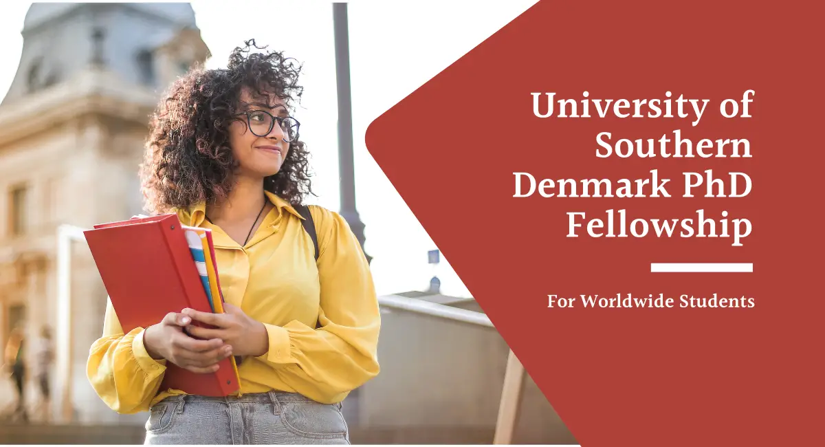 University of Southern Denmark International PhD Fellowship
