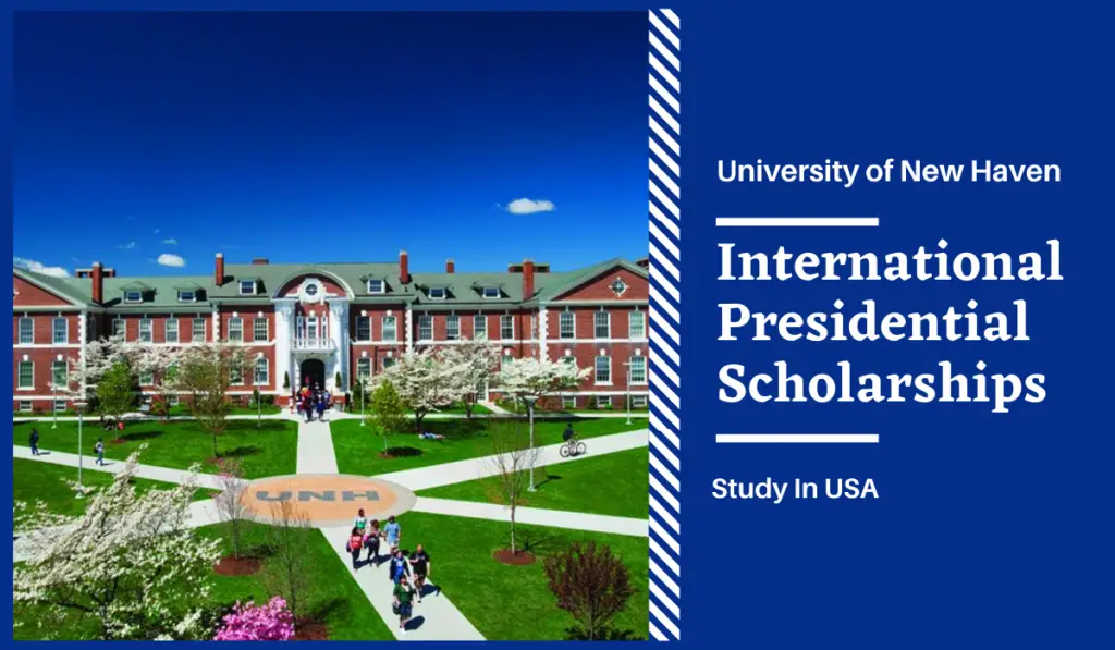 University Of New Haven Scholarships For International Students ...