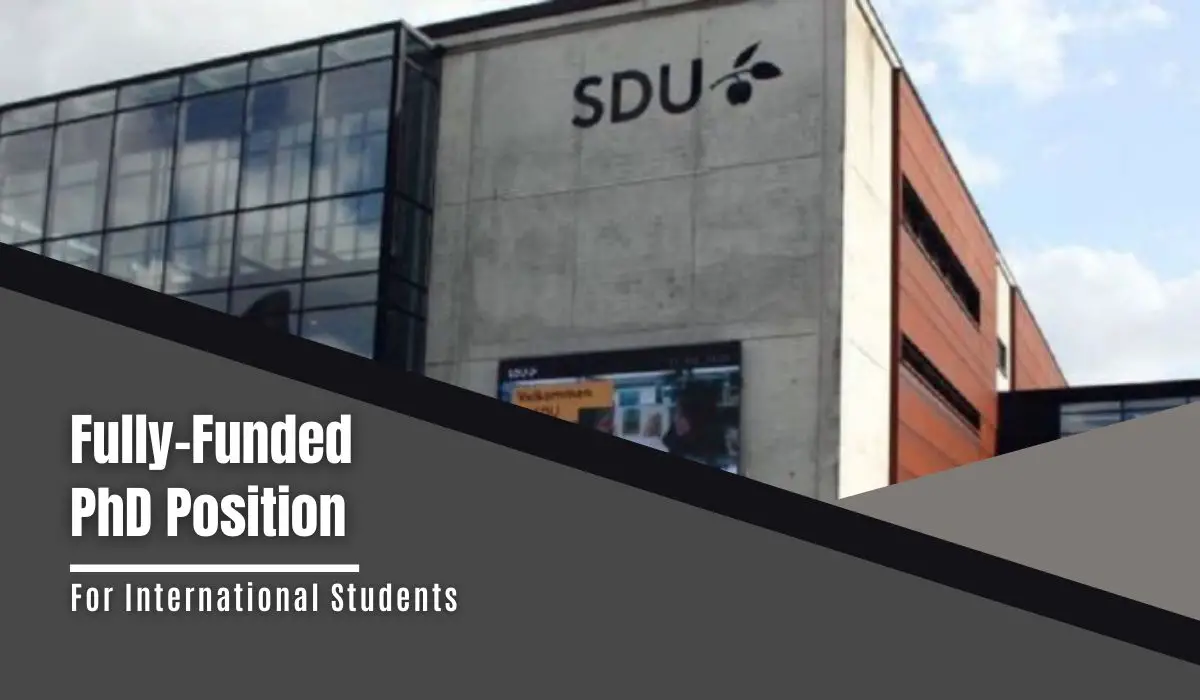 SDU Fully-Funded PhD Position in Property-based Testing for International Students, Denmark