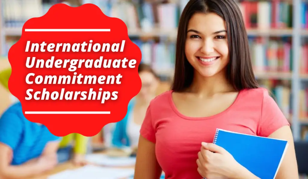 International Undergraduate Commitment Scholarship Usa