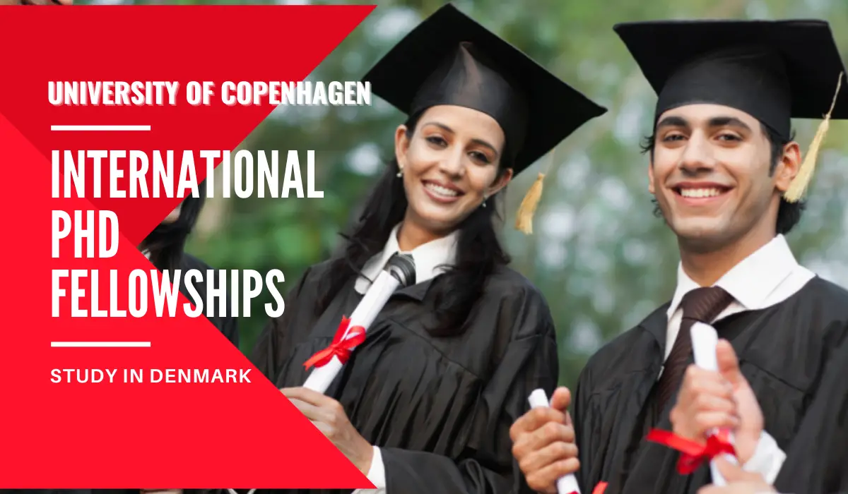 International PhD Fellowships in Beetle Phylogenetics and Big Digital Data, Denmark