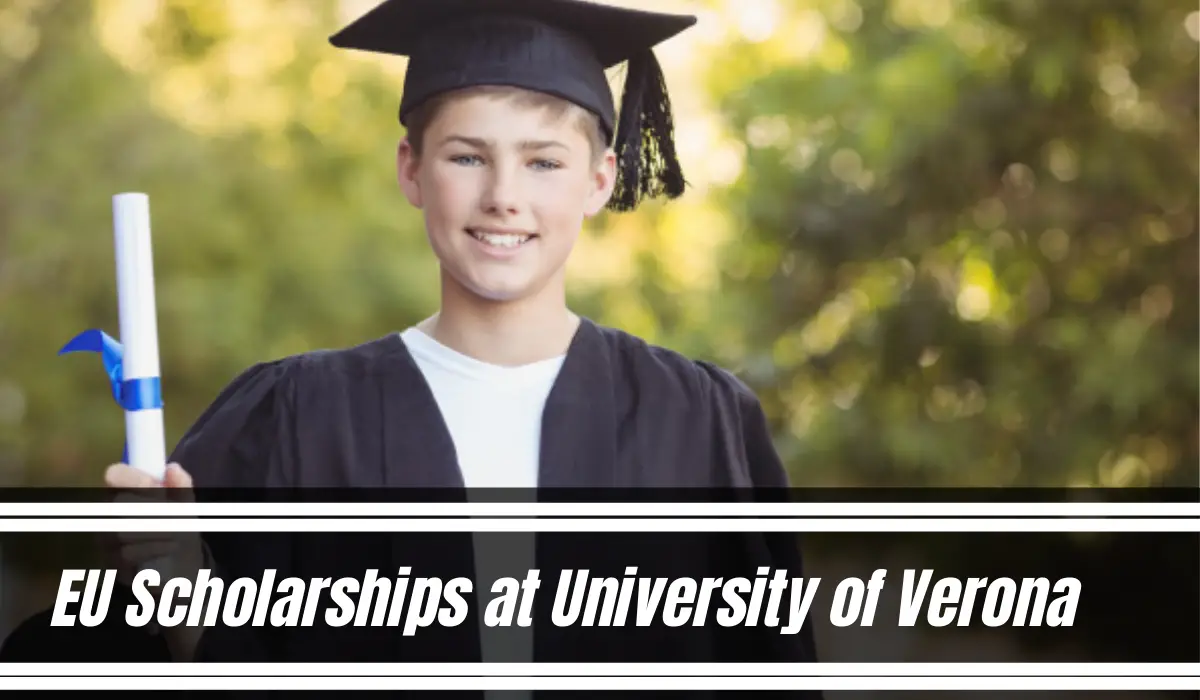 university of verona phd scholarship 2023