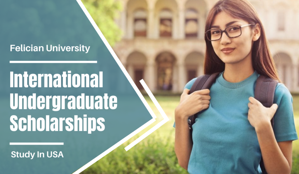 Felician University International Undergraduate Scholarships in the USA