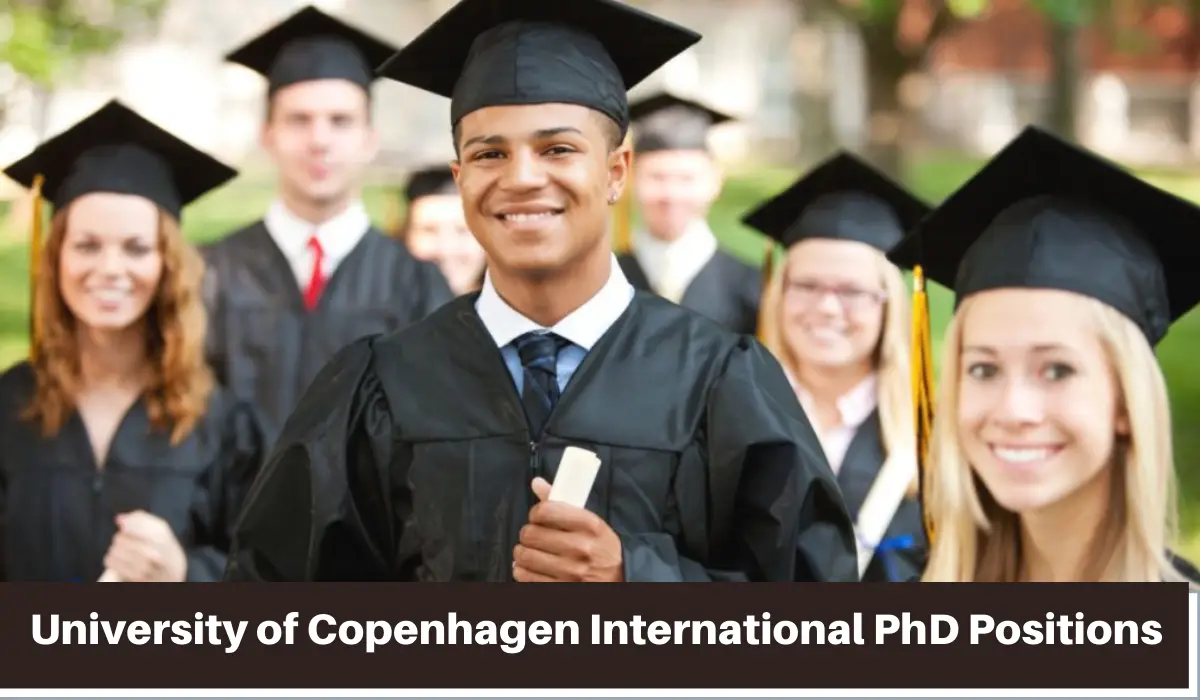 International PhD Positions in Theoretical and Computational Chemistry,  Denmark
