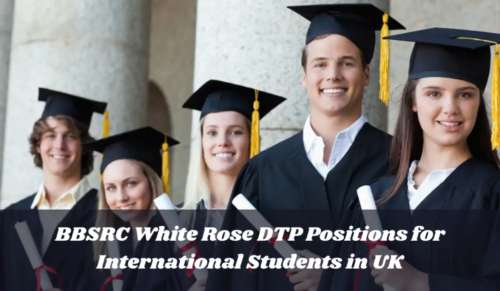 BBSRC White Rose DTP Positions in Mechanistic Biology for International  Students, UK - Scholarship Positions 2022 2023