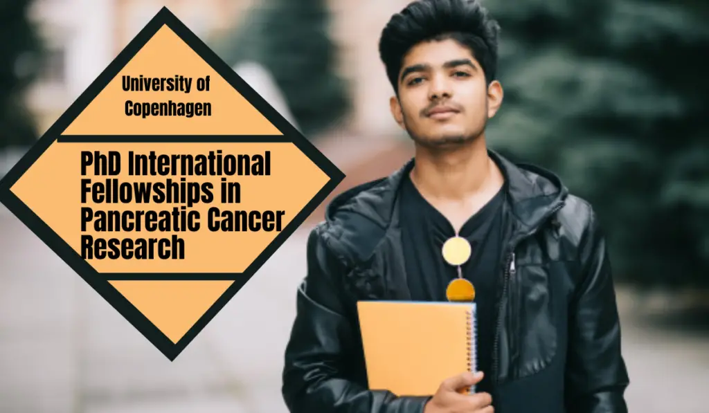 PhD International Fellowships in Pancreatic Cancer Research at University of Copenhagen, Denmark