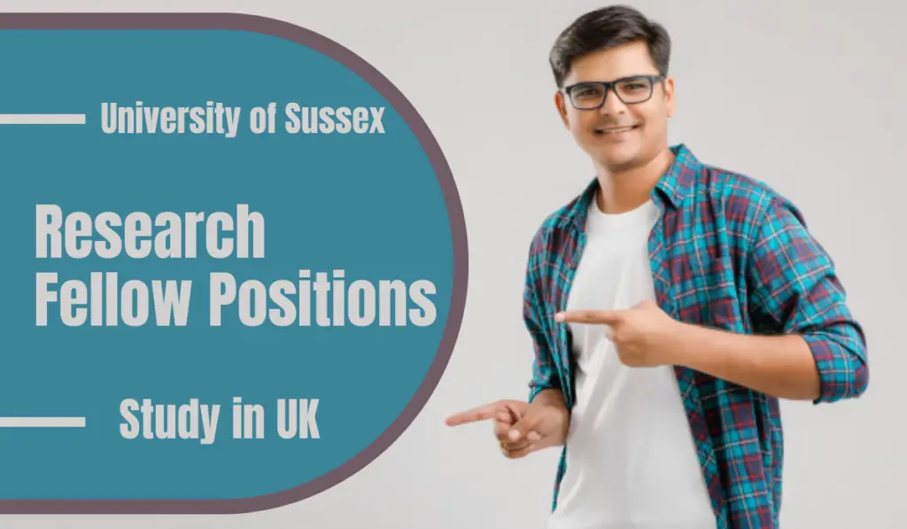 Research Fellow Positions in Natural Language at University of Sussex, UK
