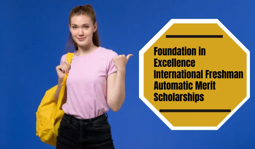 Foundation in Excellence International Freshman Automatic Merit Scholarships