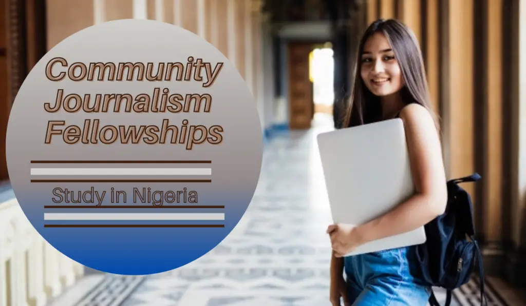 Community Journalism Fellowships in Nigeria