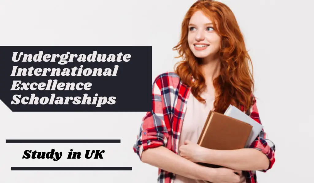 School of Electronic and Electrical Engineering Undergraduate International Excellence Scholarships in UK