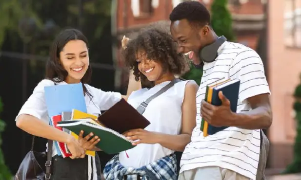 Audrey A. Brinkman Memorial Undergraduate Scholarships for International Students at Indiana University, USA