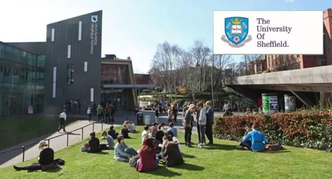 Sanctuary International Visitors Support Scheme at the University of Sheffield, UK