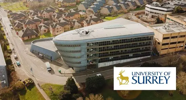 International Excellence Postgraduate Award at University of Surrey, UK.