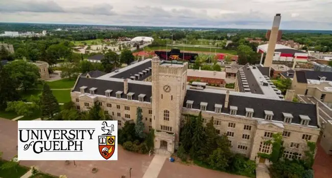 International Student Undergraduate Research Assistantship (ISURA) at University of Guelph, Canada