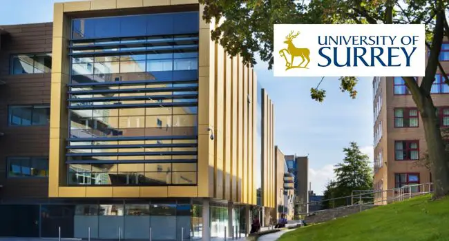 Postgraduate International Excellence Award at the University of Surrey, UK