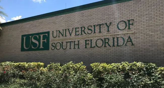 USF International Freshman Scholarships in the USA